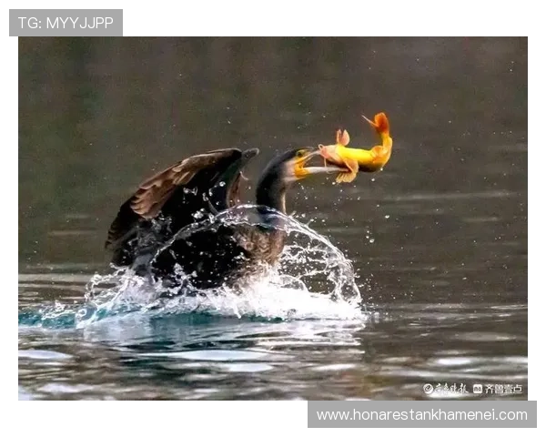 畅游ag捕鱼王官网试玩，开启精彩纷呈的捕鱼冒险之旅